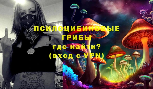 ГАЛЛЮЦИНОГЕННЫЕ ГРИБЫ Новодвинск