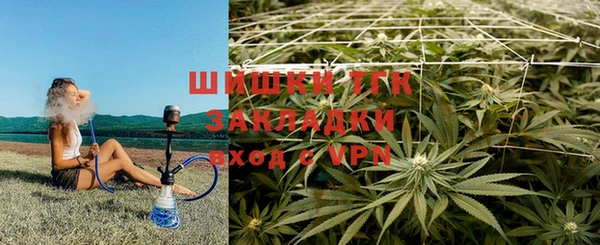 винт Няндома
