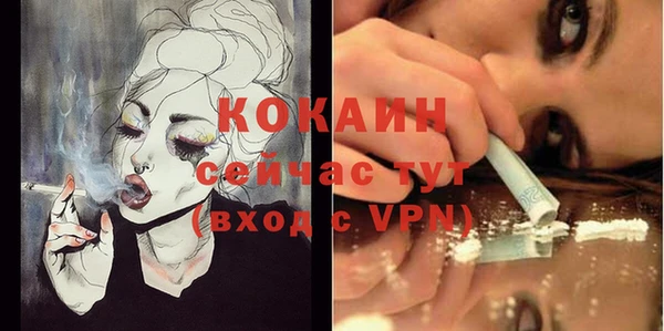 трава Новозыбков