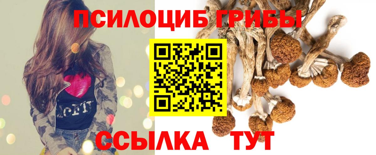 Лиски  Галлюциногенные грибы мицелий  Вход с VPN 