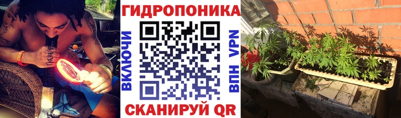 ссылка на мегу зеркало  Лиски  Канабис план 
